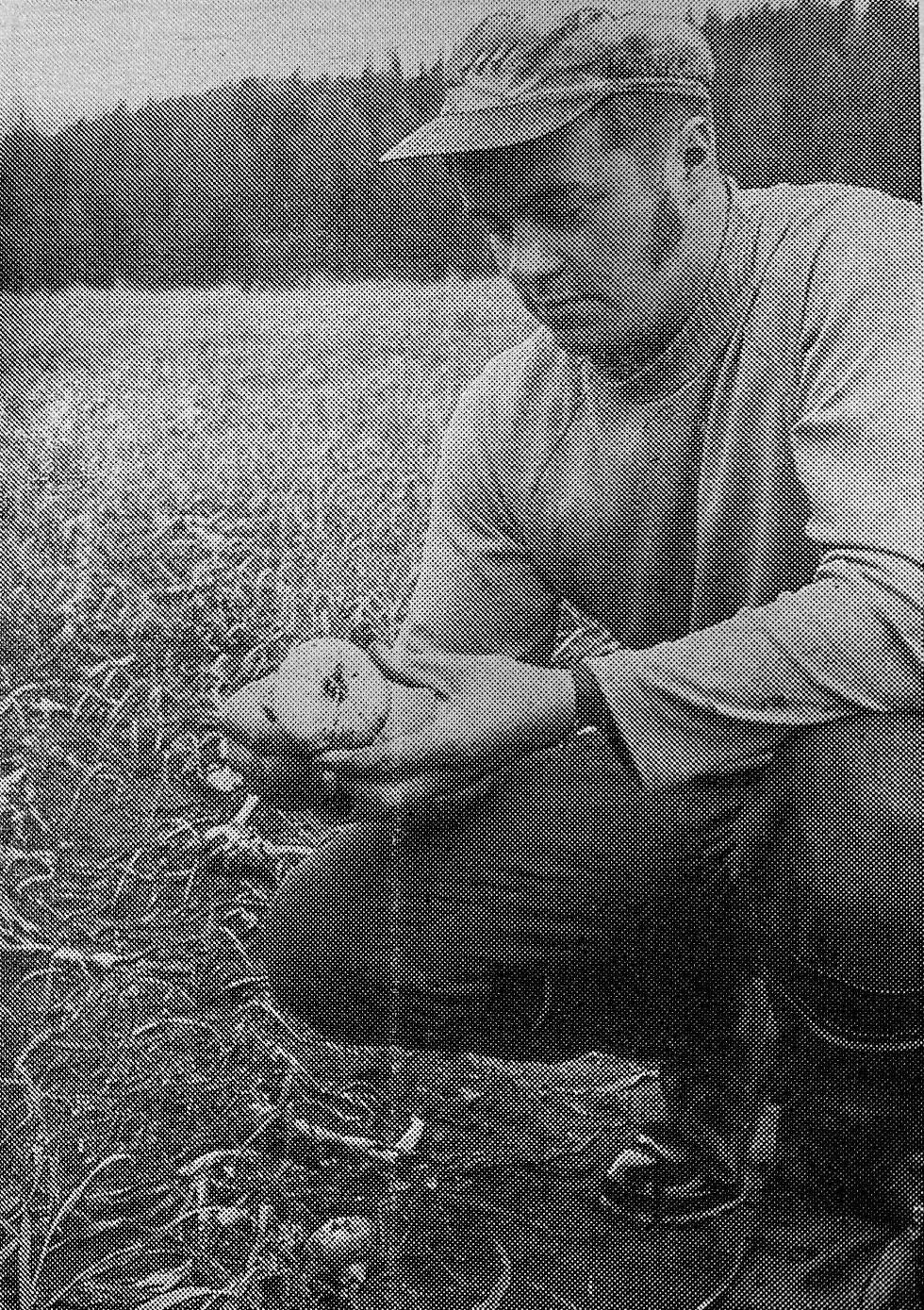 Maanviljelijä Seppo Ala-Tuuhonen sipulipellollaan Vessarilla 7.9.1974.